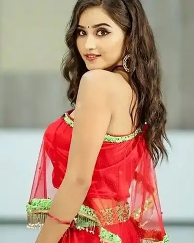Call Girls Service Gangrar